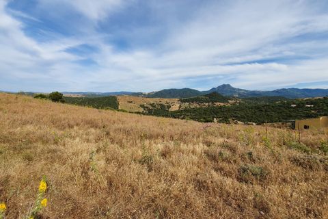 Helårsgrund i Casares, Malaga, Casares - € 325.000 | Ref: R5286859 - foto 14