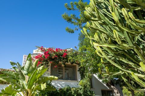 Villa i Javea, Alicante, Javea - € 1.350.000 | Ref: BHHS-CBL-1218 - foto 5