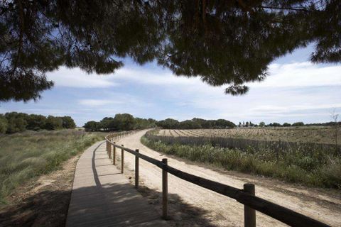 Villa a Torrevieja, Alicante, Torrevieja - € 585.000 | Ref: N8628 - foto 11