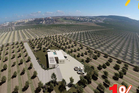 Villa i Algorfa, Alicante, Algorfa - € 995.000 | Ref: N8550 - foto 1