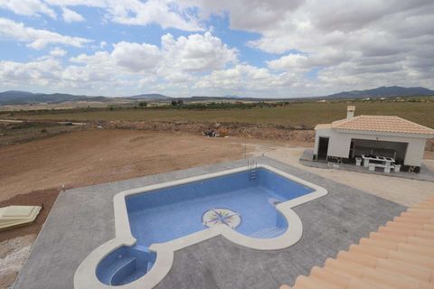 Villa a Pinoso, Alicante, Pinoso - € 423.000 | Ref: N7757 - foto 18