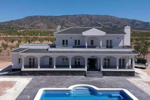 Villa i Pinoso, Alicante, Pinoso - € 547.000 | Ref: N7759 - foto 16