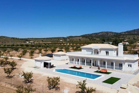 Villa a Pinoso, Alicante, Pinoso - € 611.000 | Ref: N7760 - foto 25