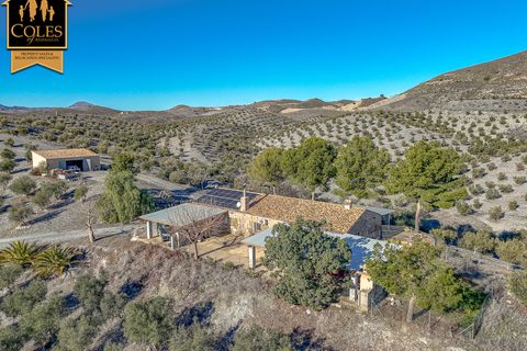 Villa i Lorca, Murcia, Lorca - € 359.000 | Ref: LOR4V15 - foto 2