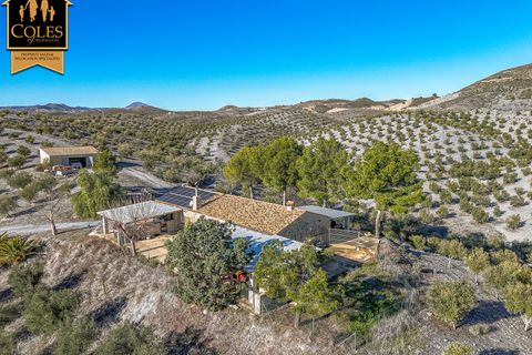 Villa i Lorca, Murcia, Lorca - € 359.000 | Ref: LOR4V15 - foto 42