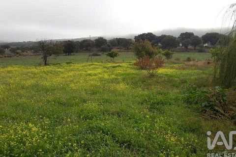 Rekkehus i Arronches, Portalegre, Arronches - € 260 000 | Ref: 147958 - foto 28