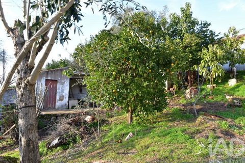 Byhus i Chamusca, Santarem, Chamusca - € 85.000 | Ref: 783719 - foto 2
