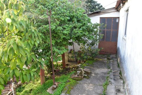 Byhus i Chamusca, Santarem, Chamusca - € 85.000 | Ref: 783719 - foto 3