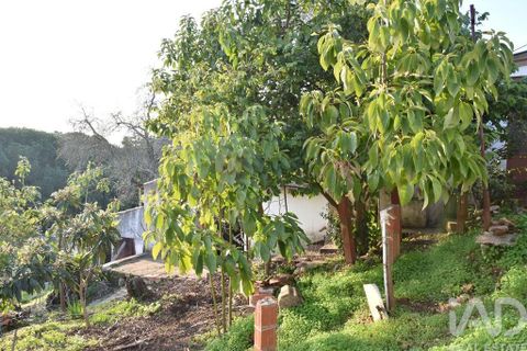 Byhus i Chamusca, Santarem, Chamusca - € 85.000 | Ref: 783719 - foto 6