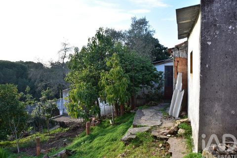 Byhus i Chamusca, Santarem, Chamusca - € 85.000 | Ref: 783719 - foto 7