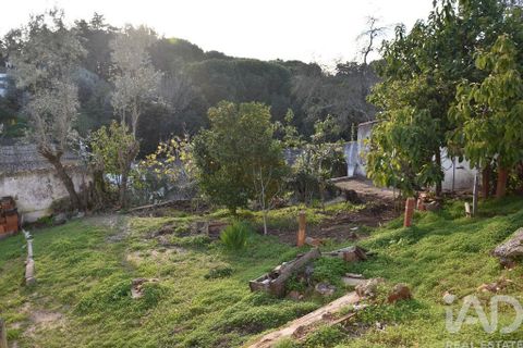 Byhus i Chamusca, Santarem, Chamusca - € 85.000 | Ref: 783719 - foto 8
