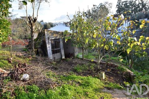 Byhus i Chamusca, Santarem, Chamusca - € 85.000 | Ref: 783719 - foto 10