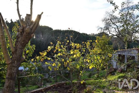 Byhus i Chamusca, Santarem, Chamusca - € 85.000 | Ref: 783719 - foto 13