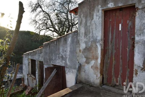 Byhus i Chamusca, Santarem, Chamusca - € 85.000 | Ref: 783719 - foto 17