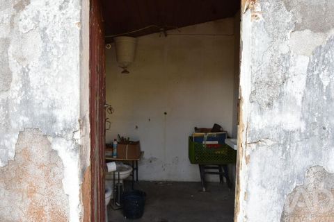 Byhus i Chamusca, Santarem, Chamusca - € 85.000 | Ref: 783719 - foto 33