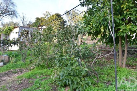 Byhus i Chamusca, Santarem, Chamusca - € 85.000 | Ref: 783719 - foto 35