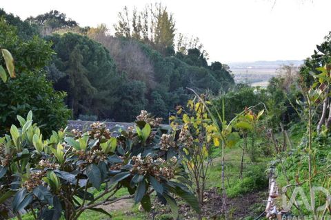 Byhus i Chamusca, Santarem, Chamusca - € 85.000 | Ref: 783719 - foto 36