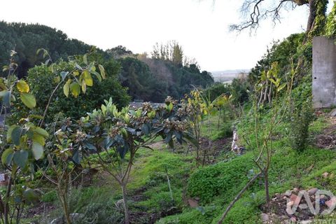 Byhus i Chamusca, Santarem, Chamusca - € 85.000 | Ref: 783719 - foto 37