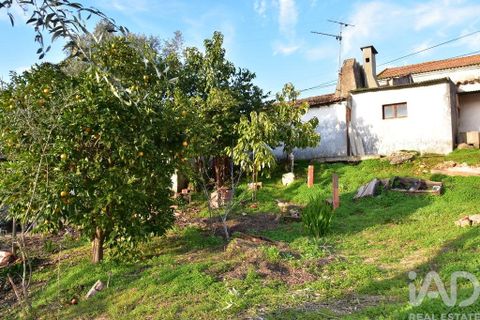 Byhus i Chamusca, Santarem, Chamusca - € 85.000 | Ref: 783719 - foto 38