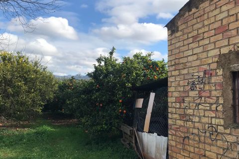 Finca i Bitem, Tarragona, Bitem - € 38 000 | Ref: Bfm - foto 6