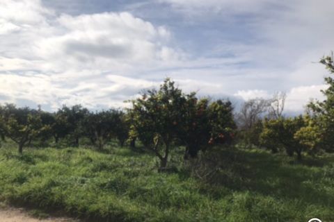 Finca i Bitem, Tarragona, Bitem - € 38 000 | Ref: Bfm - foto 4