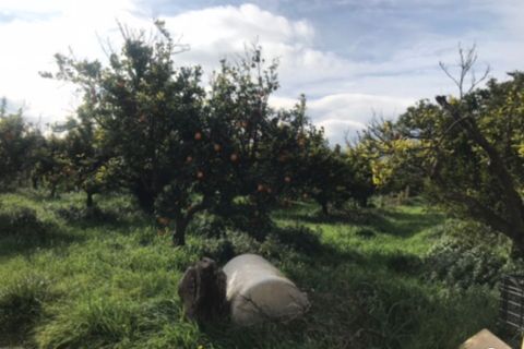 Finca i Bitem, Tarragona, Bitem - € 38 000 | Ref: Bfm - foto 3