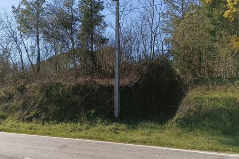 Helårsgrund i Mangualde, Viseu, Mangualde - € 71.000 | Ref: TER_85 - foto 4