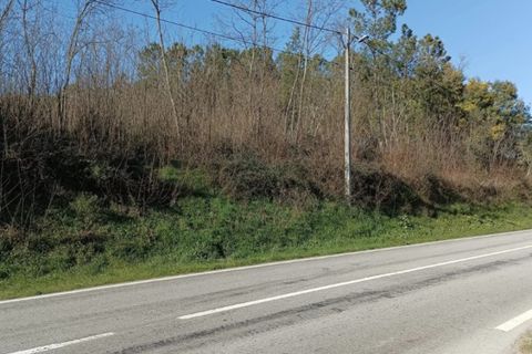 Helårsgrund i Mangualde, Viseu, Mangualde - € 71.000 | Ref: TER_85 - foto 5