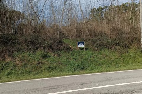 Helårsgrund i Mangualde, Viseu, Mangualde - € 71.000 | Ref: TER_85 - foto 6