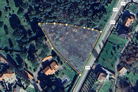 Helårsgrund i Mangualde, Viseu, Mangualde - € 71.000 | Ref: TER_85 - foto 7