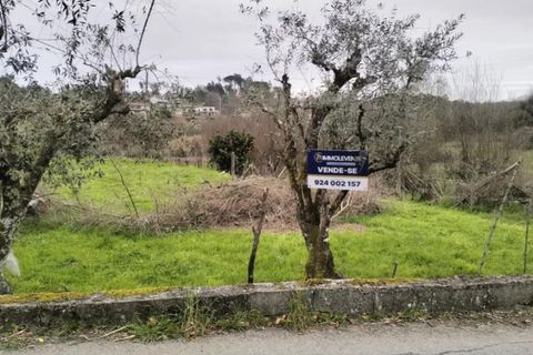 Helårsgrund i Viseu, Viseu, Viseu - € 43.000 | Ref: TER_97 - foto 1