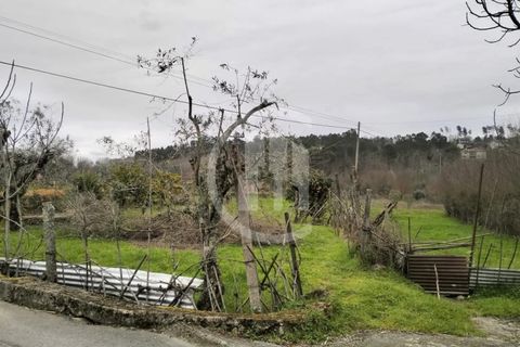 Helårsgrund i Viseu, Viseu, Viseu - € 43.000 | Ref: TER_97 - foto 2