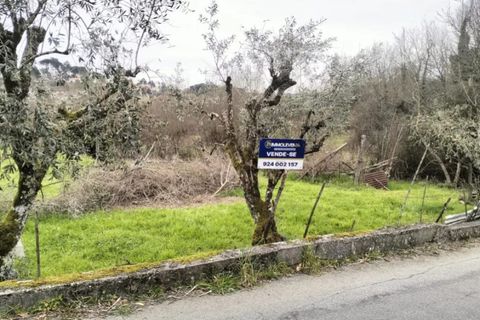 Helårsgrund i Viseu, Viseu, Viseu - € 43.000 | Ref: TER_97 - foto 3