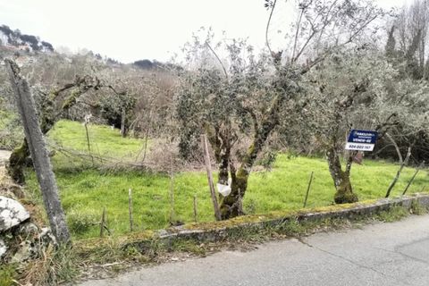 Helårsgrund i Viseu, Viseu, Viseu - € 43.000 | Ref: TER_97 - foto 4