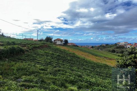 Villa a Santana, Madeira, Santana - € 240.000 | Ref: HH_2740MD26 - foto 4