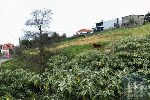Villa a Santana, Madeira, Santana - € 240.000 | Ref: HH_2740MD26 - foto 18