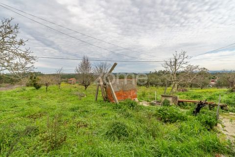 Villa a Soure, Coimbra, Soure - € 79.000 | Ref: ZMPT584241 - foto 9