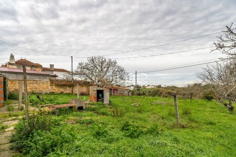 Villa a Soure, Coimbra, Soure - € 79.000 | Ref: ZMPT584241 - foto 10