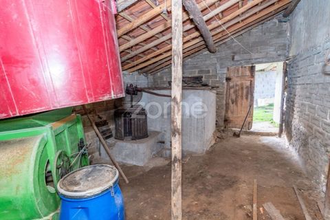 Villa i Gesteira e Brunhos, Coimbra, Gesteira e Brunhos - € 44.500 | Ref: ZMPT584230 - foto 17