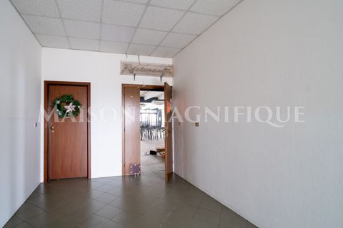 Erhvervsejendom i Occhiobello, Rovigo, Occhiobello - € 200.000 | Ref: 03CM004 - foto 10