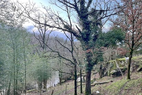 Landejendom i Mallièvre, Vendee, Mallièvre - € 385.000 | Ref: 830033054984 - foto 16