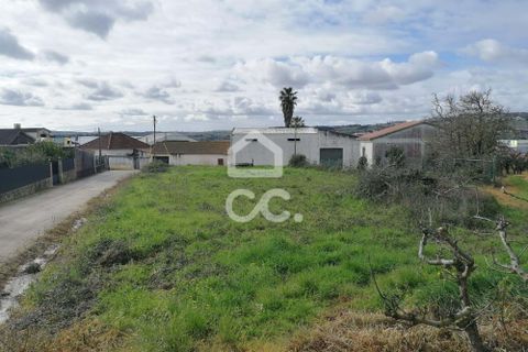 Helårsgrund i Bombarral, Leiria, Bombarral - € 90.000 | Ref: 321/T/01261 - foto 1