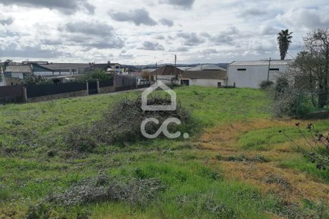 Helårsgrund i Bombarral, Leiria, Bombarral - € 90.000 | Ref: 321/T/01261 - foto 2