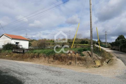 Helårsgrund i Bombarral, Leiria, Bombarral - € 90.000 | Ref: 321/T/01261 - foto 3