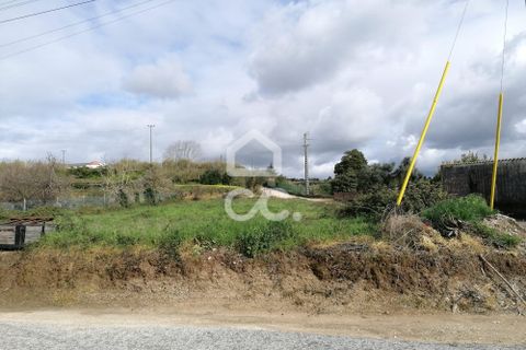 Helårsgrund i Bombarral, Leiria, Bombarral - € 90.000 | Ref: 321/T/01261 - foto 4
