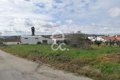 Helårsgrund i Bombarral, Leiria, Bombarral - € 90.000 | Ref: 321/T/01261 - foto 7