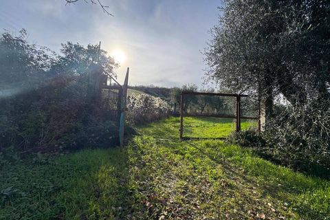 Helårsgrund i Fermo, Fermo, Fermo - € 149.000 | Ref: VV462 - foto 8