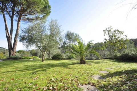 Villa i Suvereto, Livorno, Suvereto - € 290.000 | Ref: a6756rv2536228a - foto 14