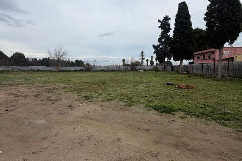 Finca i Orihuela, Alicante, Orihuela - € 249.000 | Ref: MCO-88794 - foto 15