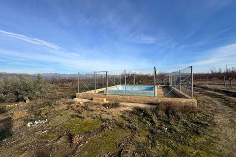 Terra a Abaran, Murcia, Abaran - € 82.000 | Ref: 2494 - foto 13